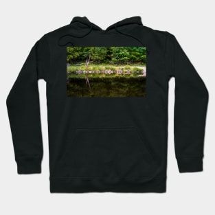 The Mirror of Nature Hoodie